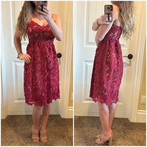 Lace Skater Flare Dress Burgundy Red Nude See Thru, Size 2